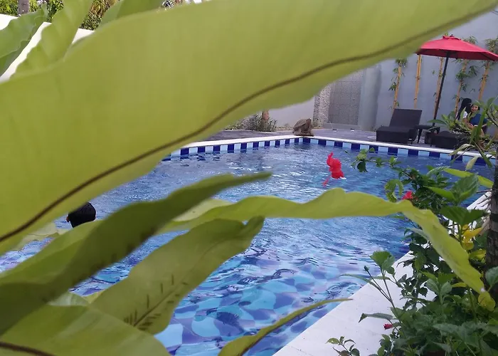 Hotel Palm Bamboo